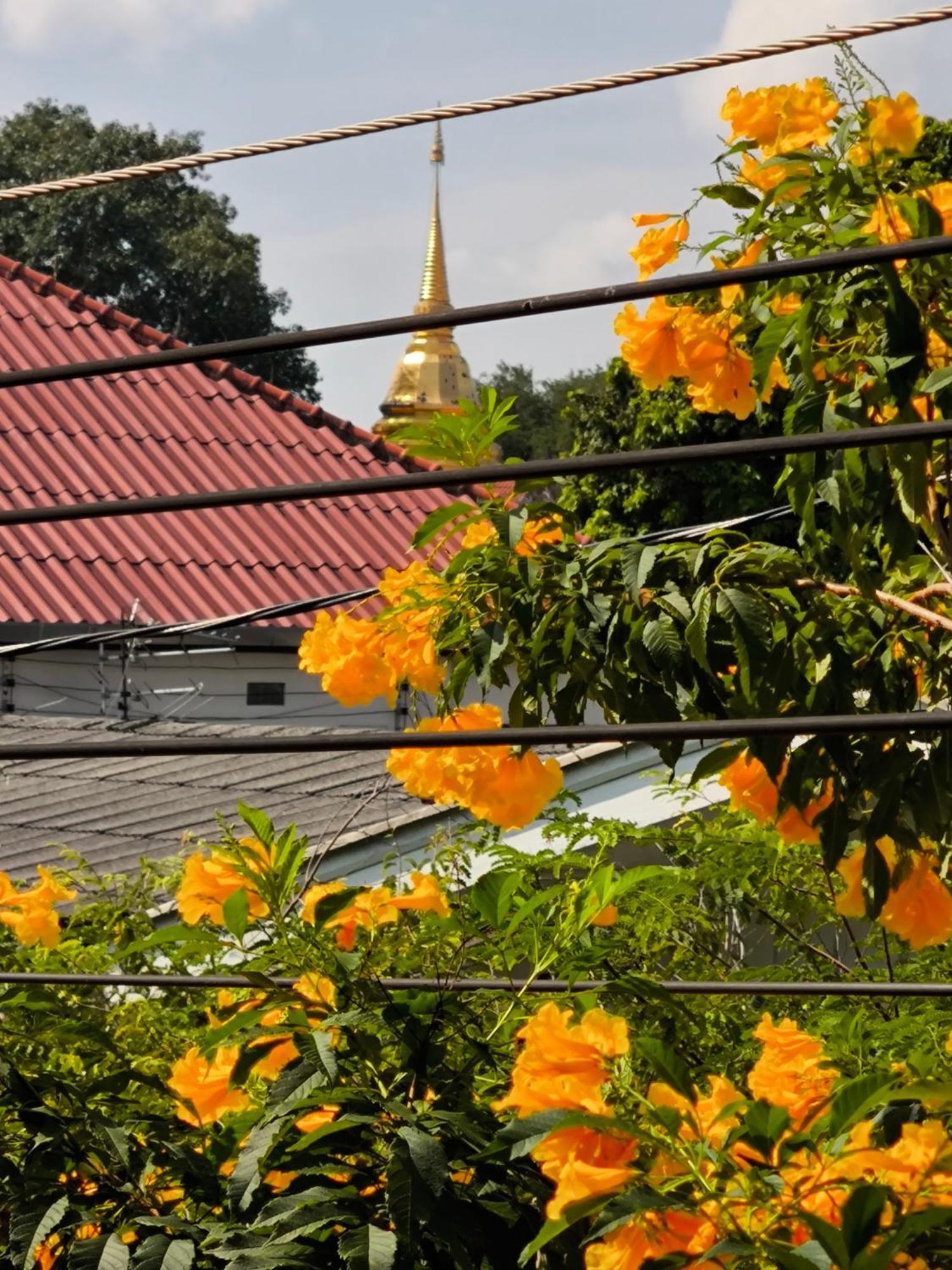 Ratchiangsaen Flora House Gasthuis Chiang Mai